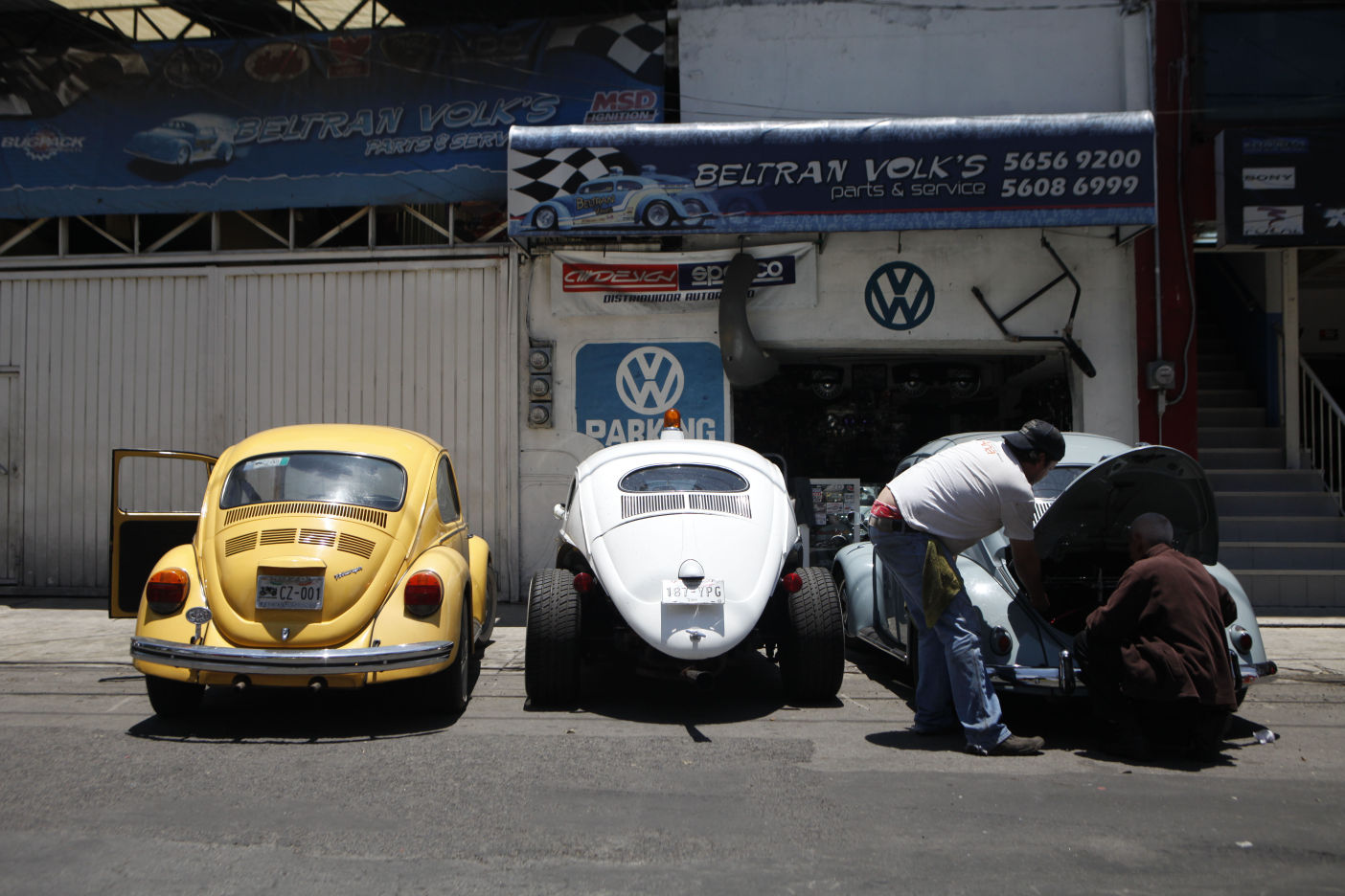 Mexico VW Beetles Photo Gallery